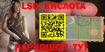 ГАЛЛЮЦИНОГЕННЫЕ ГРИБЫ Тверь