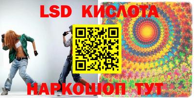 шишки Тара