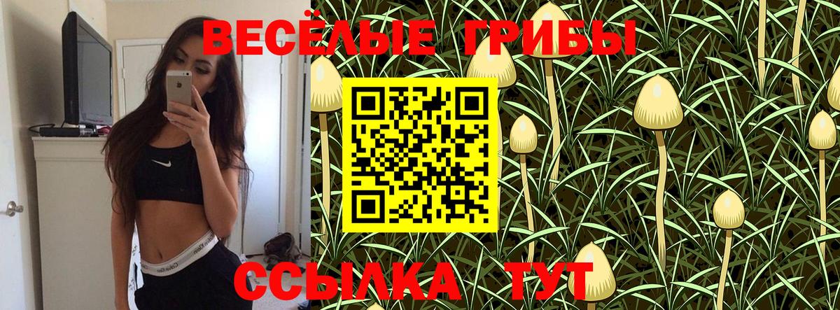 Галлюциногенные грибы ЛСД Оренбург